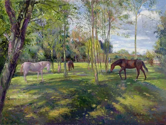 In the Rectory Paddock, 1993